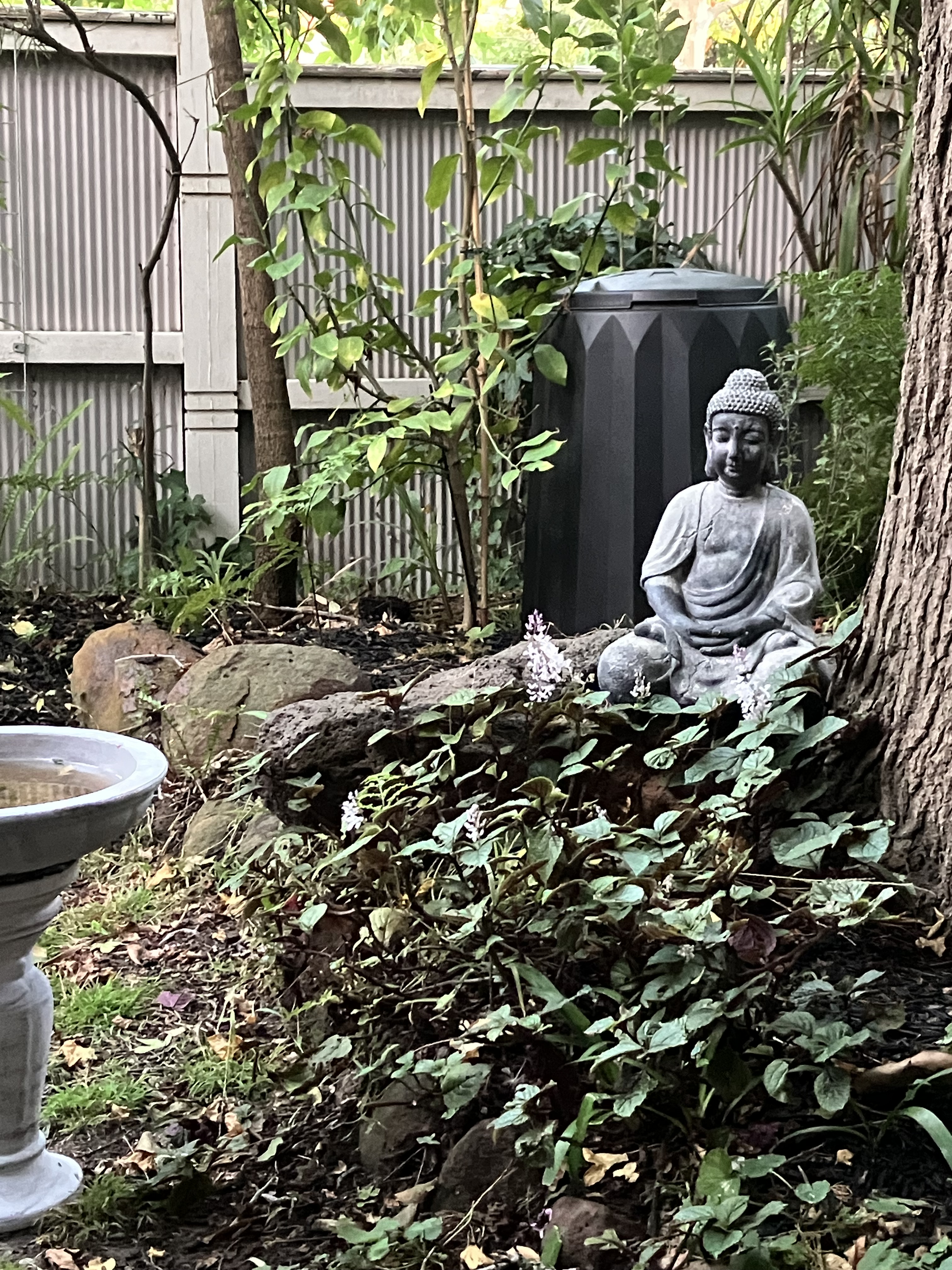 The Zen of Gardening – The Witches of St. Kilda